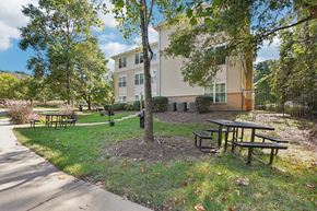 Durham apartment for rent - A tree in a grassy area in front of a building.
