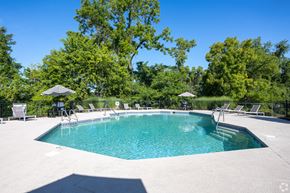 Winston Salem apartment for rent - A large outdoor swimming pool surrounded by trees and lounge chairs.