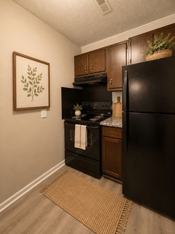 Fayetteville apartment for rent - A kitchen with a black refrigerator and a framed picture of a plant on the wall.