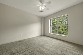 Durham apartment for rent - A room with a ceiling fan and a window showing trees outside.