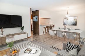 Fayetteville apartment for rent - A modern living room with a television, a dining table, and a couch.