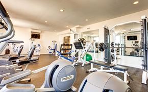 Norfolk apartment for rent - A gym with a variety of equipment including a Precor machine.