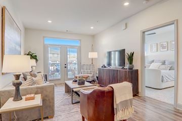 Asheville apartment for rent - A modern living room with a grey sofa and a wooden chair.