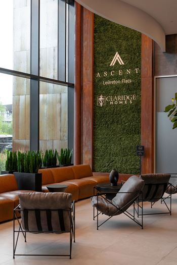 Beautiful dried green wall