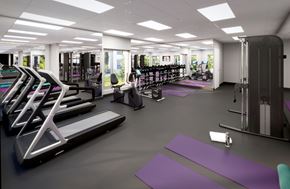 Ottawa apartment for rent - a gym with cardio machines and other exercise equipment