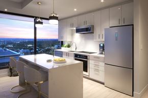 Ottawa apartment for rent - Kitchen and the Downtown Ottawa View