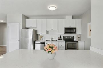 London apartment for rent - A kitchen with white cabinets and appliances, a marble countertop, and a vase of flowers on the counter.