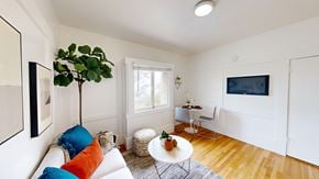 San Francisco apartment for rent - A living room with a white couch, a green plant, and a TV.