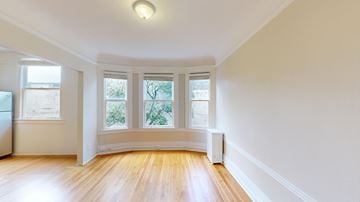 San Francisco apartment for rent - A room with a window overlooking a tree.