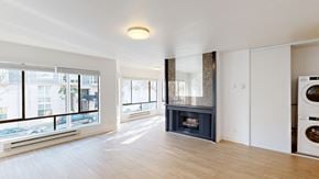 San Francisco apartment for rent - A modern living room with a fireplace and a washing machine in the corner.