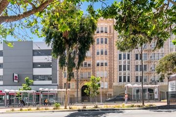 San Francisco apartment for rent - A tall building with many windows is surrounded by trees.
