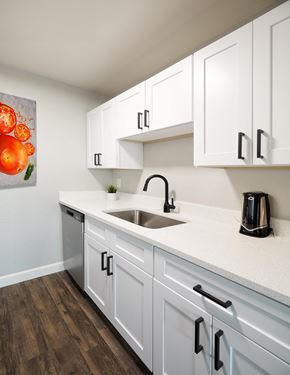 Denver apartment for rent - the preserve at ballantyne commons apartment kitchen with sink and white cabinets