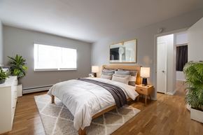 Allentown apartment for rent - Apartment bedroom at Society Hill at Lehigh in Allentown, PA featuring a minimalist layout, natural light, hardwood-style flooring, and multiple closets for ample storage and organization.