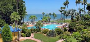 St. Peterburg apartment for rent - Pool, Beach, Ocean, Backyard, Amenities