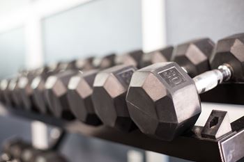 Free weights & hiit equipment