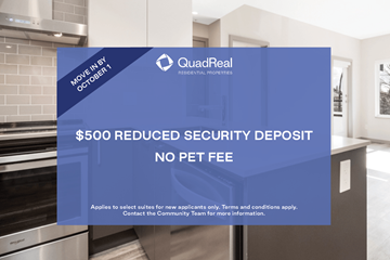 North Vancouver apartment for rent - A kitchen with a QuadReal advertisement offering a $500 reduced security deposit.