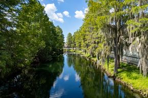 Kissimmee apartment for rent - a river with trees on both sides and a bridge over it at Saratoga Resort Villa Apartments, Kissimmee