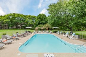 Clio apartment for rent - A pool surrounded by lawn chairs and trees with a sign that says no diving.