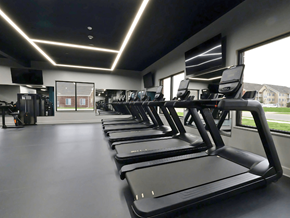 Dundee apartment for rent - A gym with treadmills and a television.