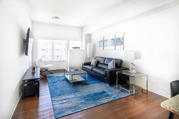 Midland apartment for rent - a living room with a blue rug and leather couch
