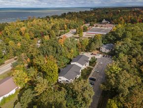 Caseville apartment for rent - an aerial view of a neighborhood with houses and trees