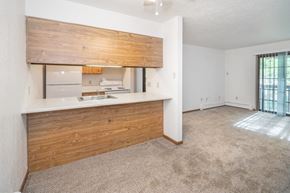 Elkton apartment for rent - an empty living room with a kitchen and a window