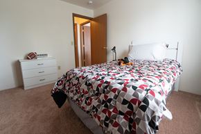 Monroe apartment for rent - second bedroom at Custer Estates in Monroe, MI