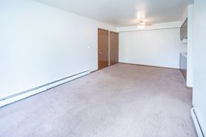 Caledonia apartment for rent - an empty living room with a white wall and carpet