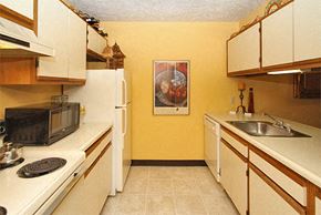 Allegan apartment for rent - Kitchen