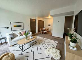 Baytown apartment for rent - A living room with a white couch, a coffee table, and a rug.