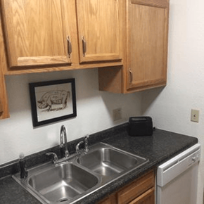 Portland apartment for rent - a kitchen with a sink and a dishwasher