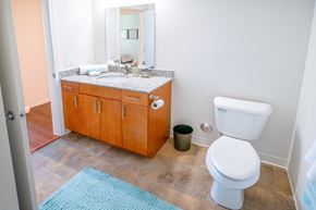 Sylvania apartment for rent - Luxurious Bathroom at Carr Apartments, Sylvania