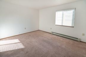 Sebewaing apartment for rent - an empty room with carpet and a window