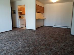 Mackinaw City apartment for rent - Dining Area Wawatam Apartments
311 W. Cadillac Street, Mackinaw City, MI 49701