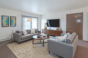 Adrian apartment for rent - A living room with a grey couch, a coffee table, and a flat screen TV.