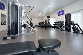 St. Clair apartment for rent - A gym with a variety of equipment including treadmills, weights, and exercise machines.