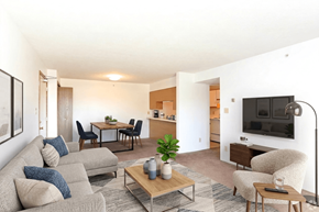 Coldwater apartment for rent - A living room with a grey sofa, a wooden coffee table, and a television.