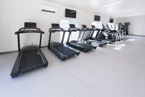 Fort Gratiot Twp apartment for rent - A row of treadmills are lined up in a gym.