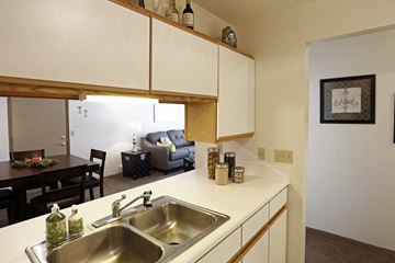 Shelbyville apartment for rent - A kitchen with a sink, a dining table and a couch.