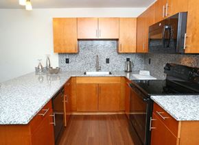 Jackson apartment for rent - Fully Furnished Kitchen at Withington Apartments, Michigan, 49201