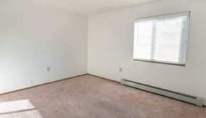 Gagetown apartment for rent - an empty room with carpet and a window