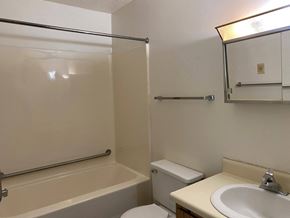 Edwardsburg apartment for rent - a bathroom with a sink toilet and a bath tub