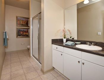 Low-lip showers in all plans/roll-in showers in select apartment homes