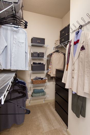 Large, walk-in closets
