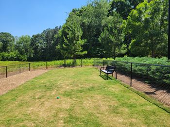 Dog park