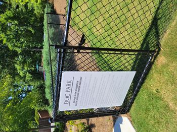 Dog park