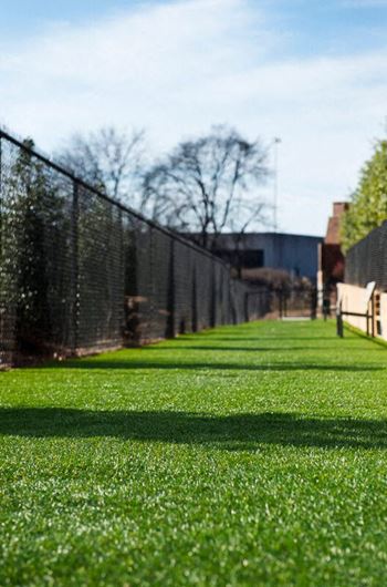Dog run at walton westside apartment