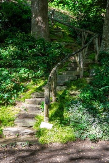 Hiking trails