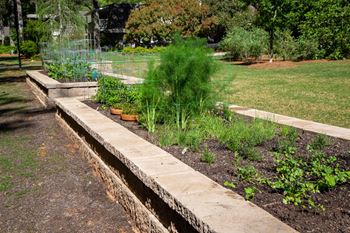 Organic vegetable garden ( click here for virtual tour)