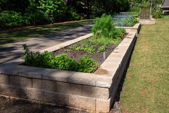 Organic vegetable garden ( click here for virtual tour)